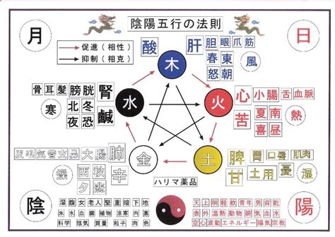 凱的五行|【凱 五行】揭秘「凱」五行屬什麼？深入解析「凱」的豐富意涵